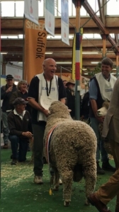 Taljar: Announcement of the Interbreed Champion Longwool Ram